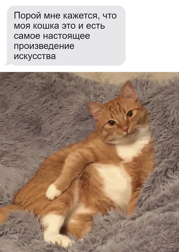 Картинки и мемы, всем хороших выходных