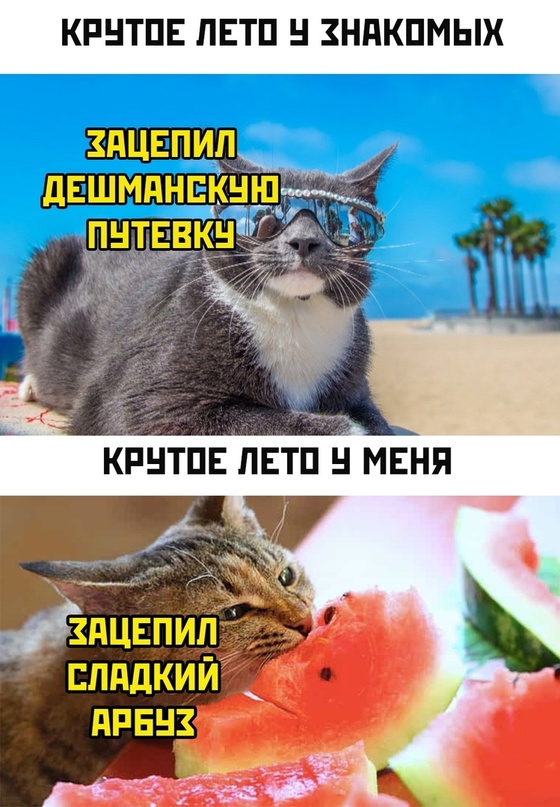 Картинки и мемы для настроения - 11