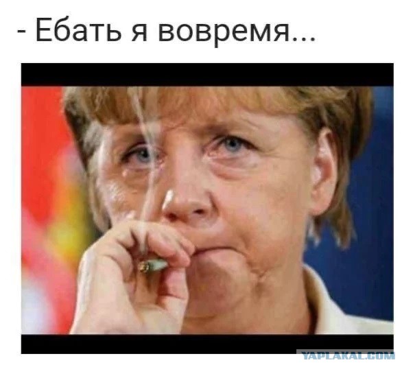 Die Welt: Немецкие ремесленники потребовали от Шольца отмены санкций против РФ