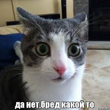 В Совфеде призвали готовиться к войне с Западом