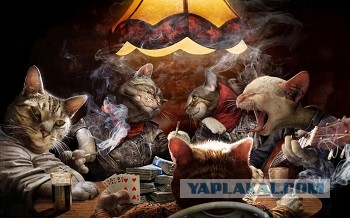 Почему женщина не кончает от секса