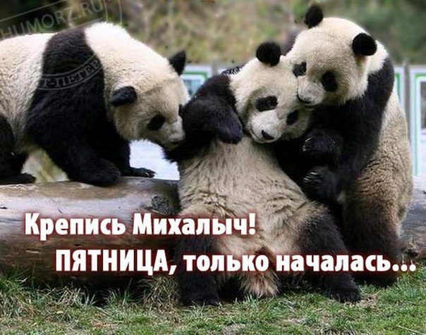 Картинки и мемы, всем хороших выходных