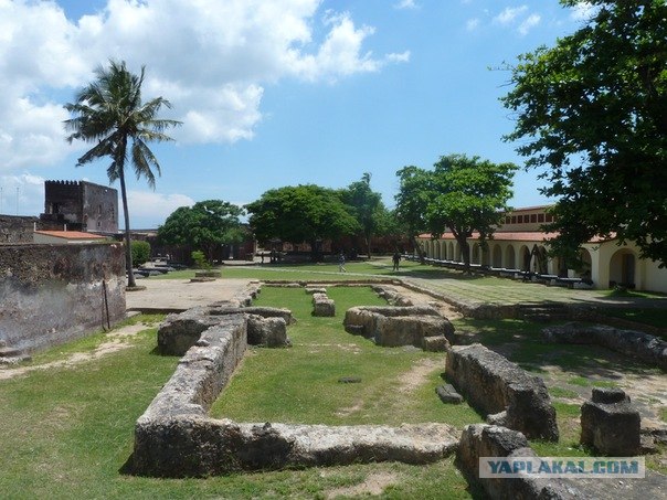 AFRICA - (Эфиопия,Кения,Танзация) 4-16 ноября 2011