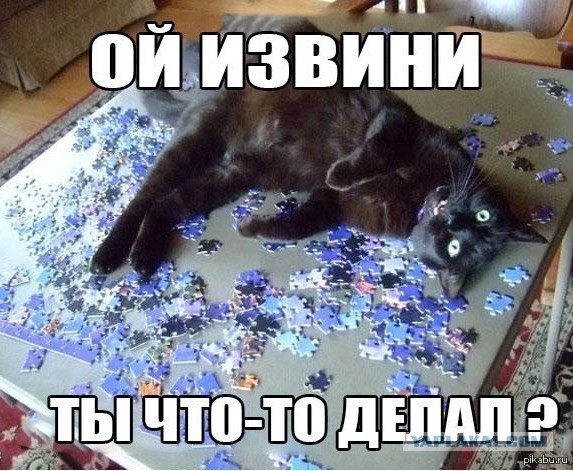 Котоюмор на ЯП. Веселые кото-картинки!
