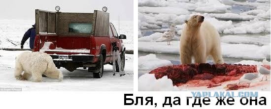 Зажигалку не видел?