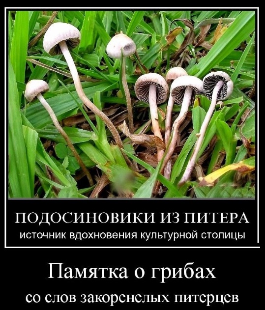 Безсистемная подборка, мож кого и улыбнёт