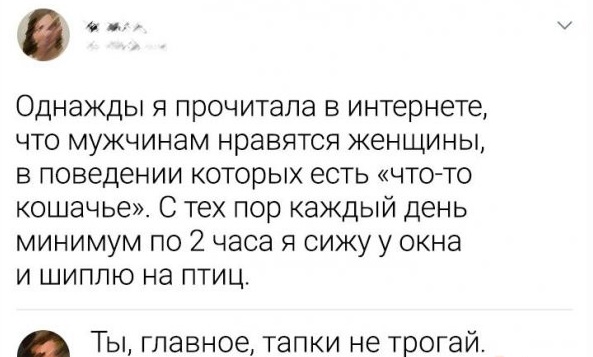 Забавные шутки и картинки из этих ваших интернетов