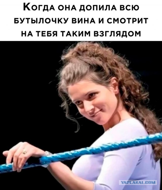 Весёлый полтишок 31.01.23