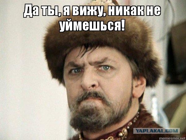 Баннеры, отлов собак и пропавший губернатор. Волгоград готовится к приезду президента