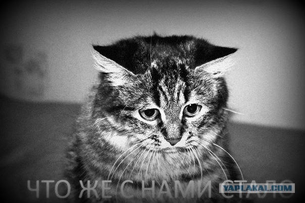 Зоя Космодемьянская.