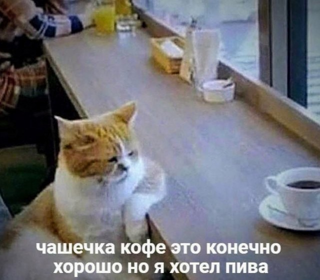 Немного картинок для настроения - 161