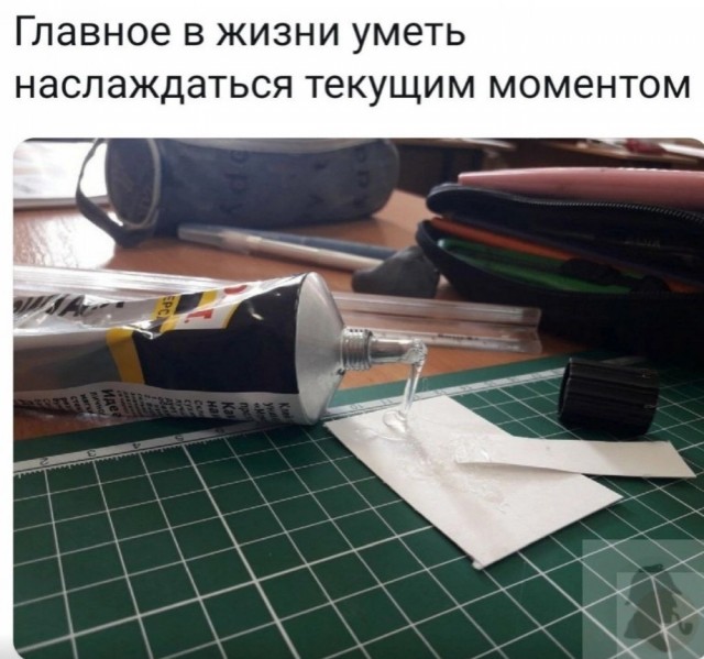Картинки и мемы для настроения - 167