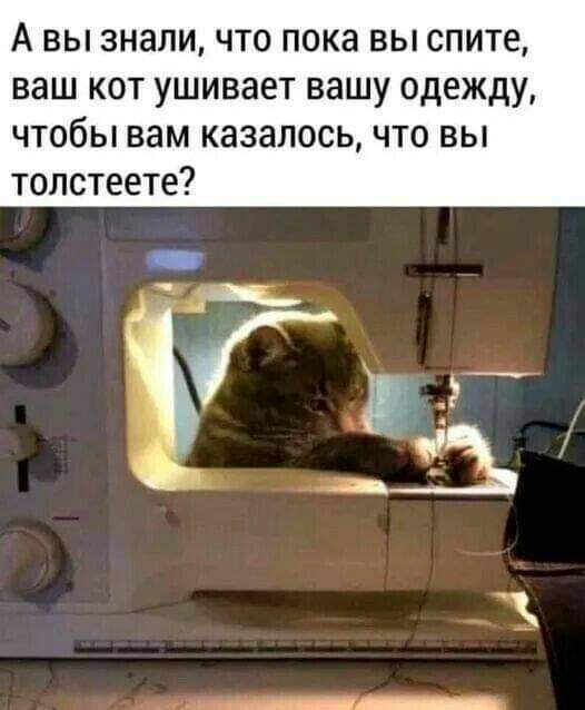 Так себе картинки 23.06.23