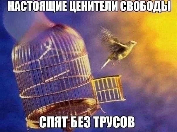 Мемы для тех, у кого IQ от 30 до 99