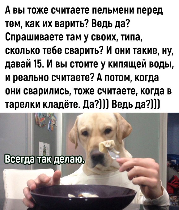 Скриншоты и комментарии из социальных сетей 07.10.23