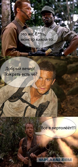 Хищник разошёлся