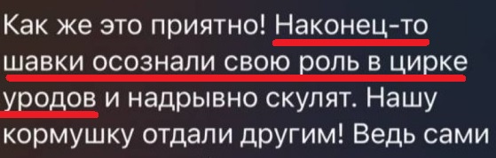 Медведев: Наконец-то шавки осознали свою роль в цирке уродов