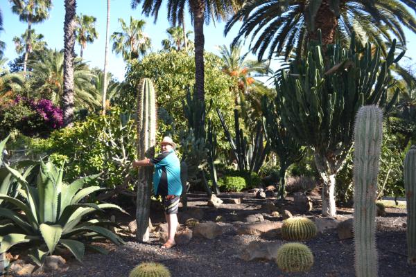 Хочу дачу на канарах!