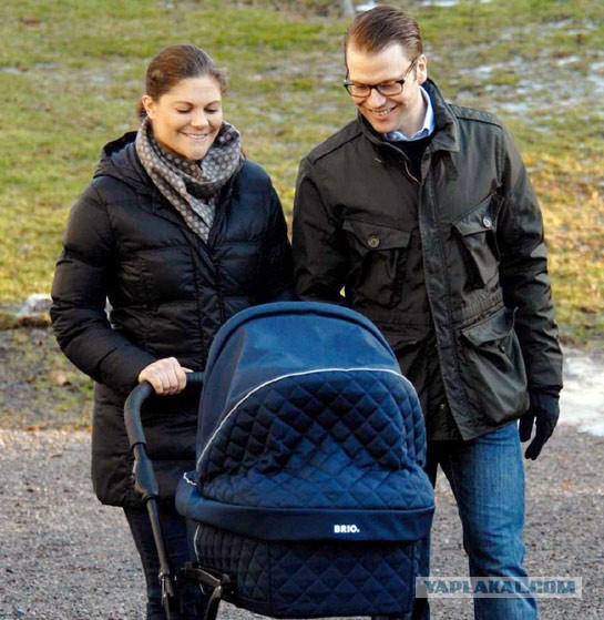 Такое может быть только в Голландии