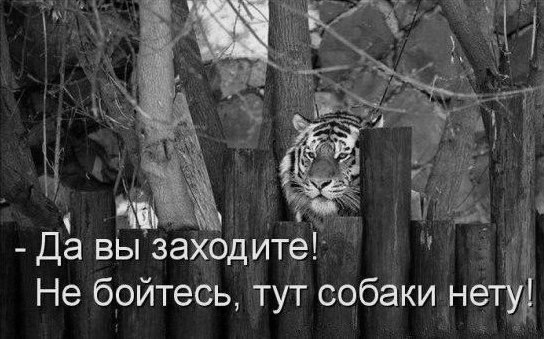 Так себе картинки 01.06.24