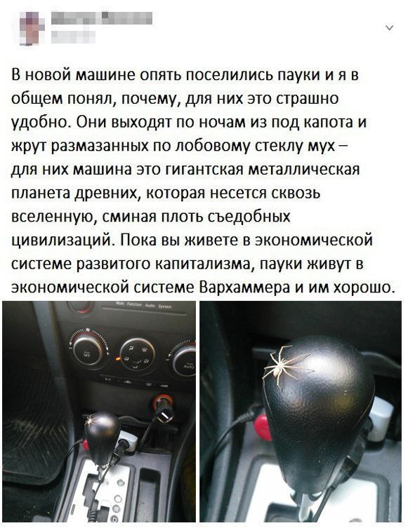 Сборник бабаянов или неожиданная помойка от Неждалигады