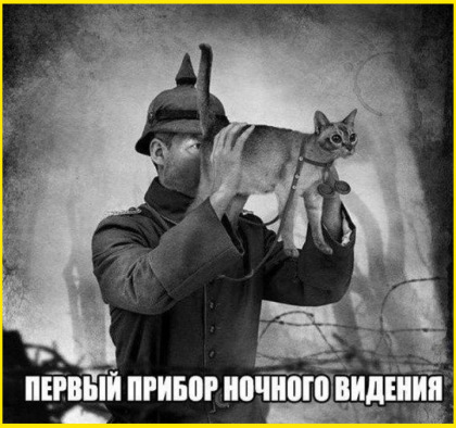 Веселые картинки к маленькой пятнице (17.07)