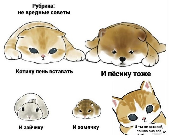 Завалялось тут случайно немного забавных картинок