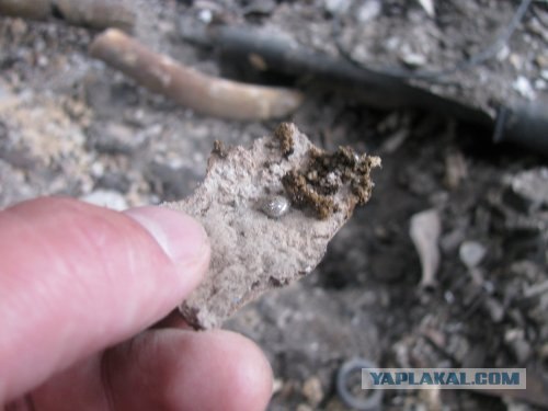 Второй "Чернобыль" в Киеве