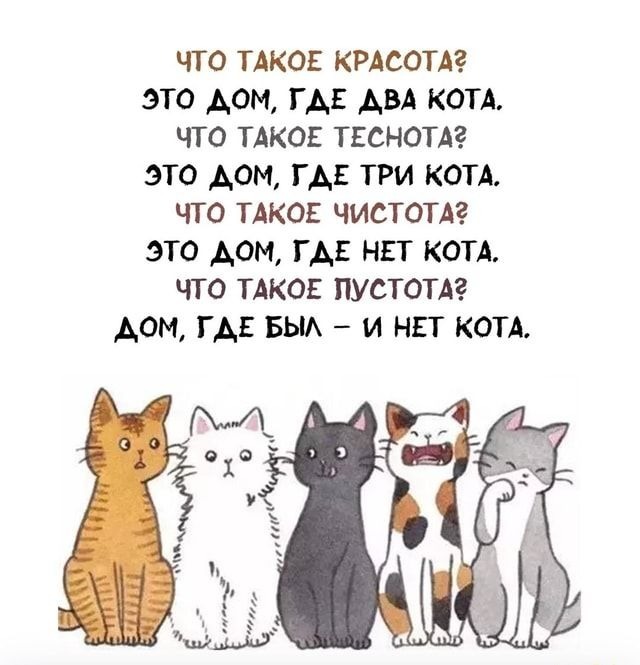 Так себе картинки 16.02.25