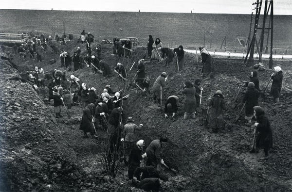 Великая Отечественная в фотографиях-2