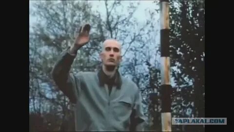 Трамп: Завтрашний вечер будет грандиозным. Я расскажу всё как есть