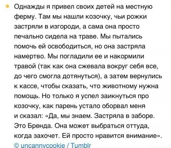 Так себе картинки 25.05.25