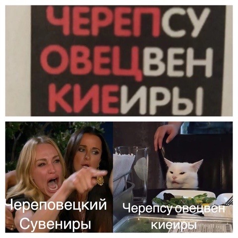 Знаменитый кот