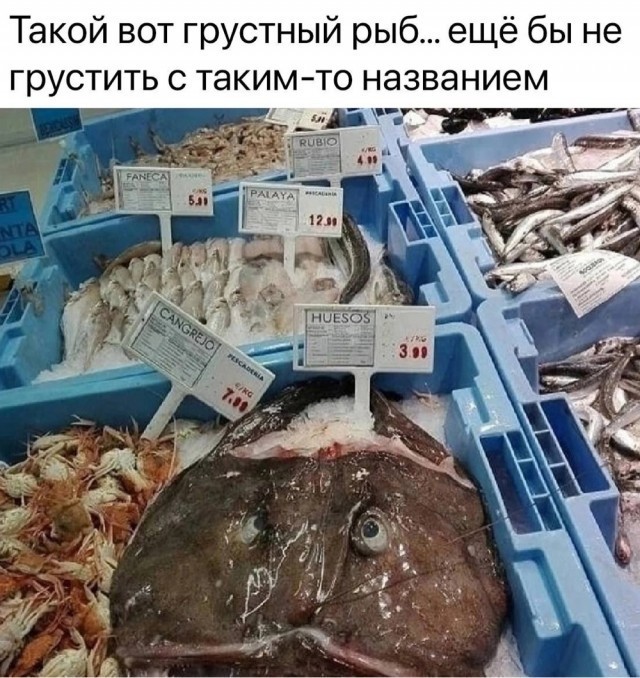 Веселое настроение в картинках 27.07.25