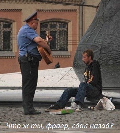 Веселое настроение в картинках (31.07.2025)