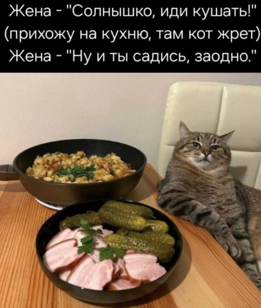 Папа, а что такое цивилизация?