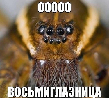 Это Феррари?