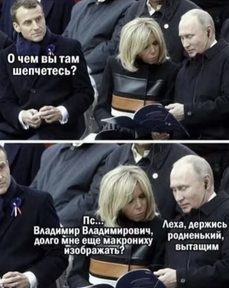 Веселые картинки в маленькую пятницу (24.12)