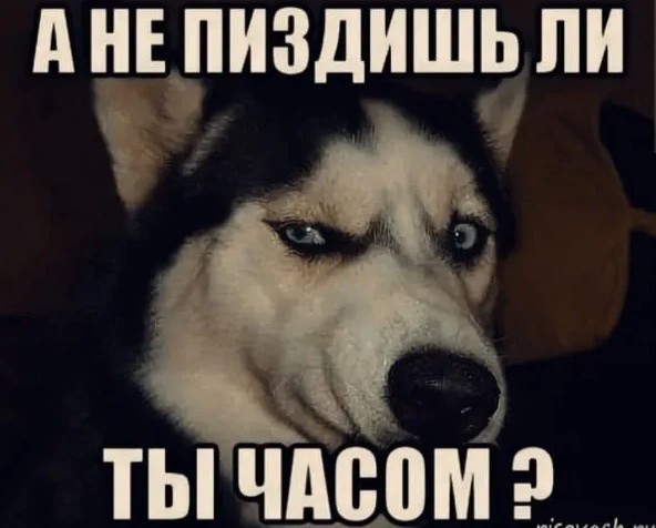 Вместе с женой встали в очередь на жильё 15 лет назад. Сегодня нам дали участок. В тайге.