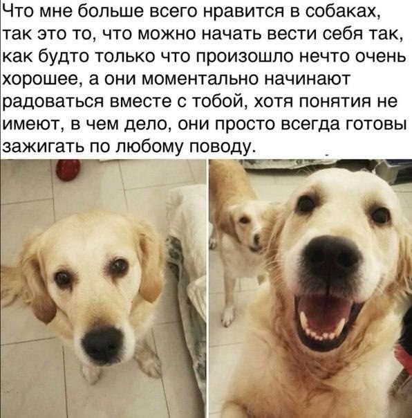 Вторника картинки