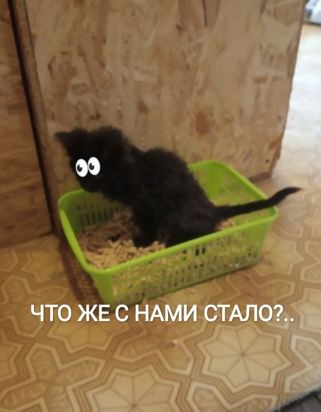 Чёрт