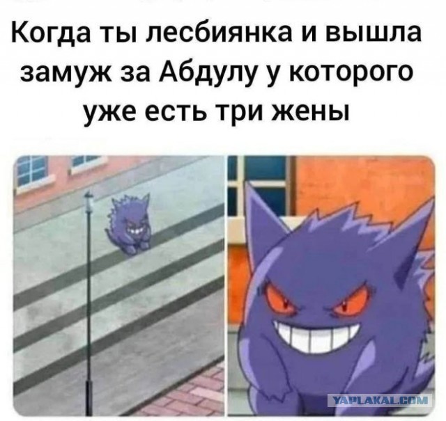 Веселые картинки в понедельник (07.02)