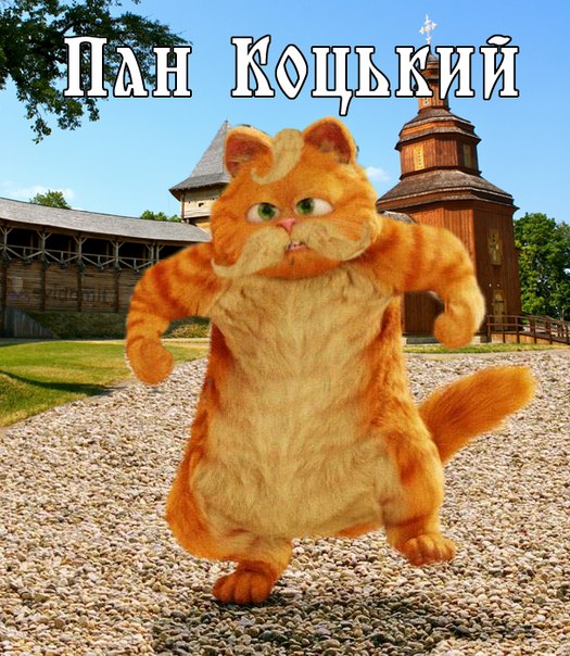 Котовторник 29.10.2013