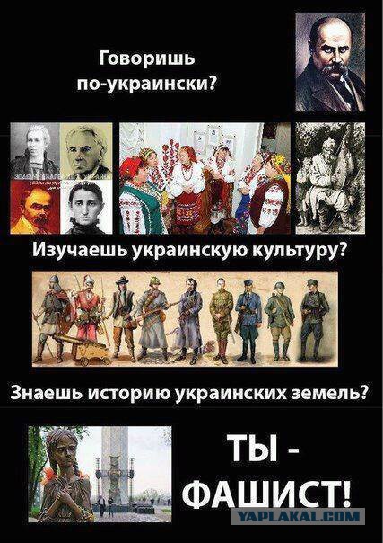 Типичные представители майдана