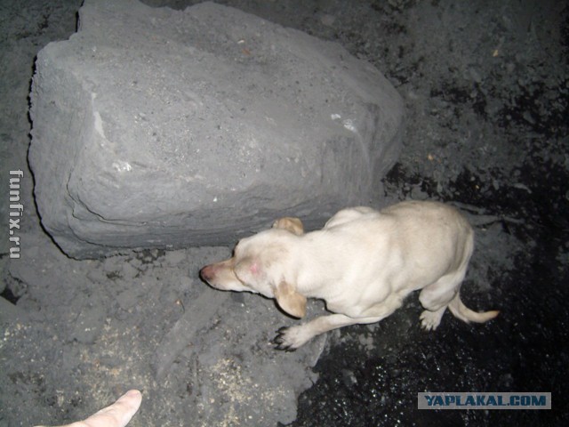 Шахта