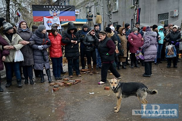 Cиловая операция в Славянске.