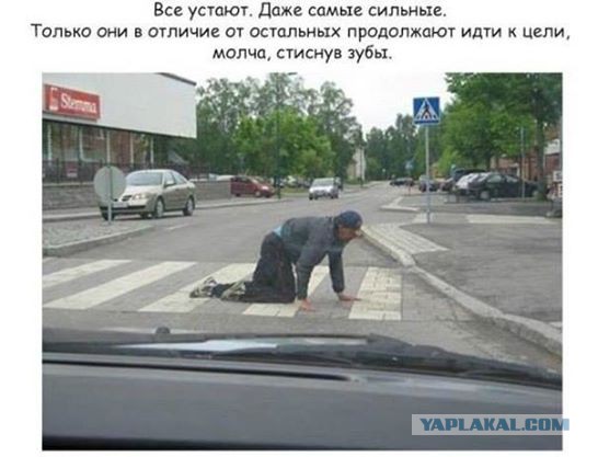 Подборка смешных картинок
