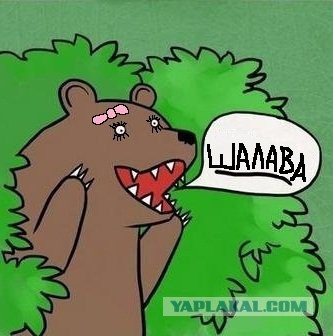 Медведи почти на все случаи жизни