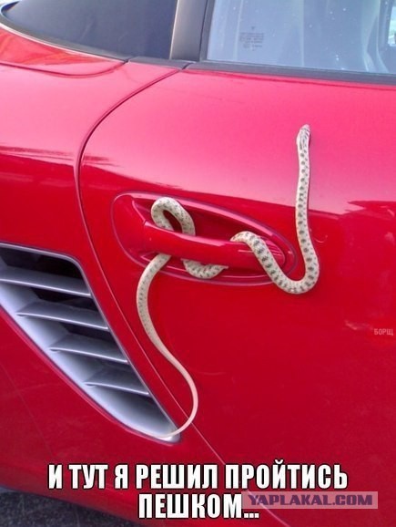 Забавные картинки и комменты из соцсети