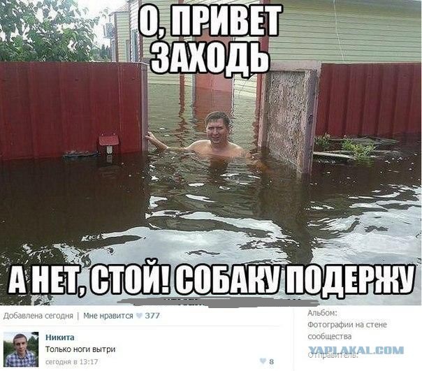 Смешные комментарии из соц сетей